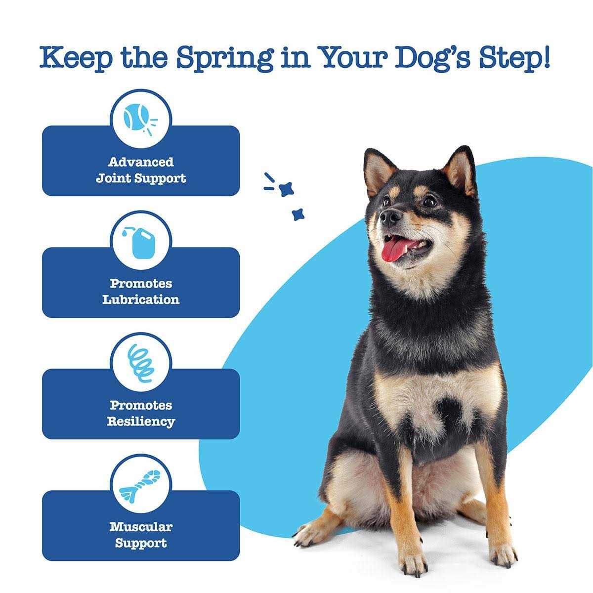 Zesty Paws Advanced Hip Joint Mobility Bites for Senior Dogs - Healthber