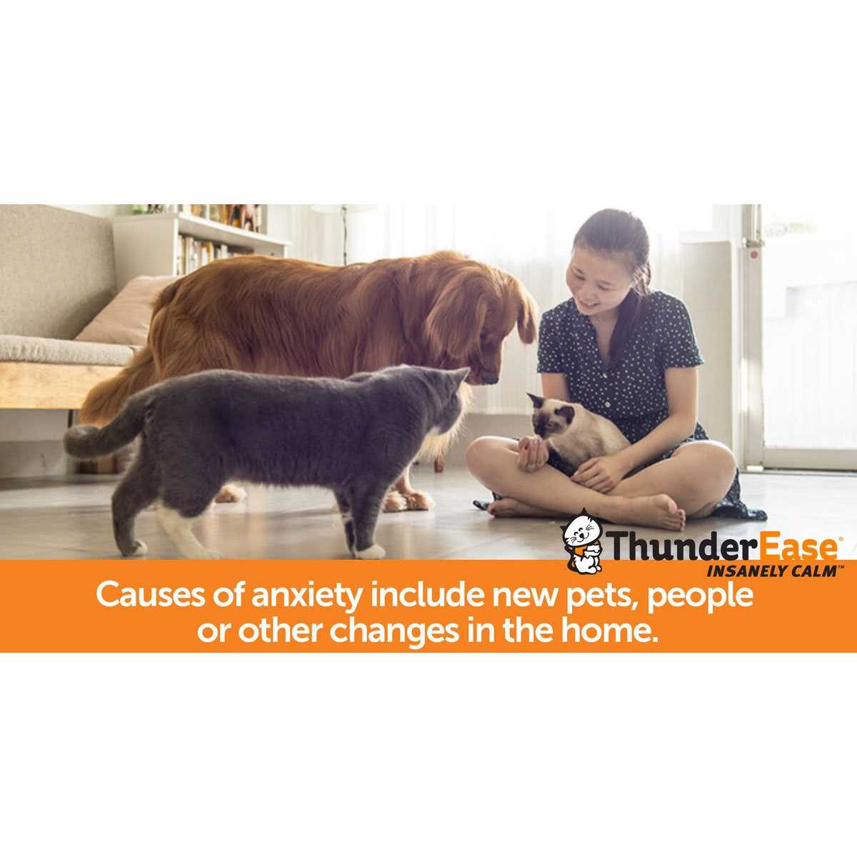 ThunderEase Calming Diffuser Refill Cat - Healthber
