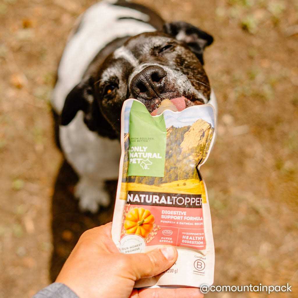 Only Natural Pet Digestive Support Dog Food Topper - Healthber