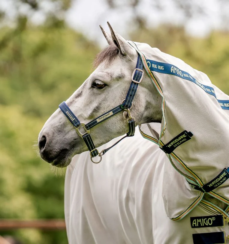 Horseware FieldSafe Halter - Healthber