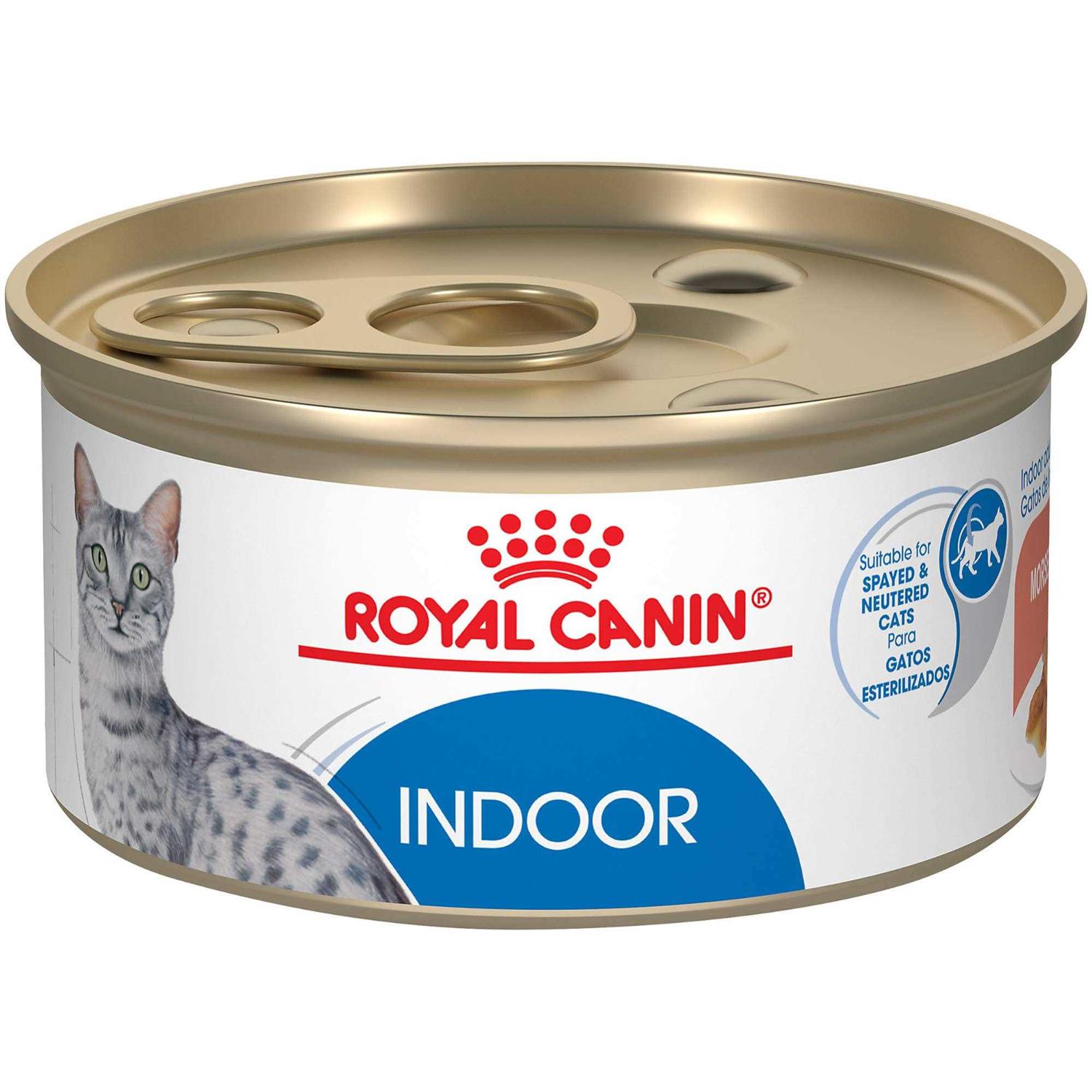 Royal Canin Adult Feline Health Nutrition Morsels in Gravy Cat Food for Indoor Cats - Healthber