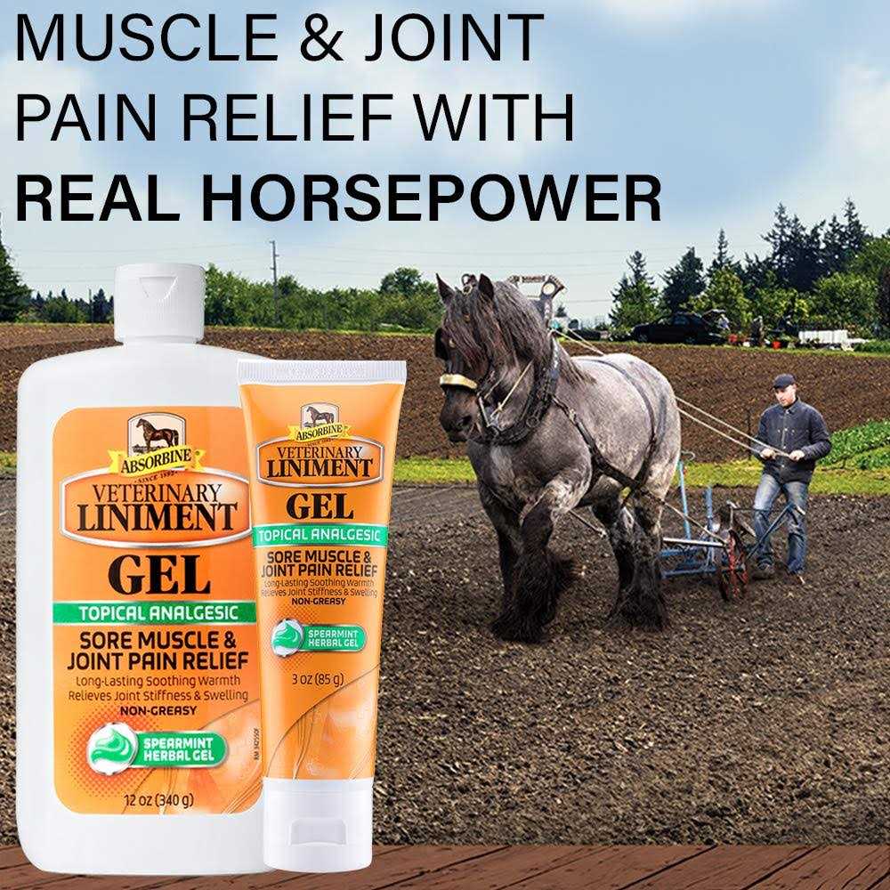 Absorbine Veterinary Liniment Gel Topical Menthol Analgesic Rub for Sore Muscle - Healthber