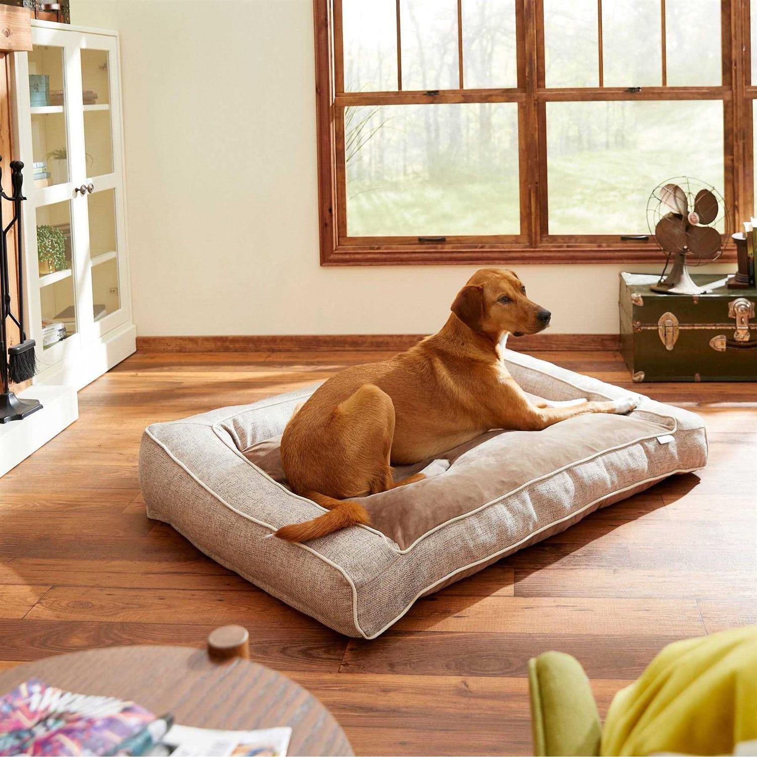 Frisco Orthopedic Bolster Dog Bed w/Removable COVER - Healthber