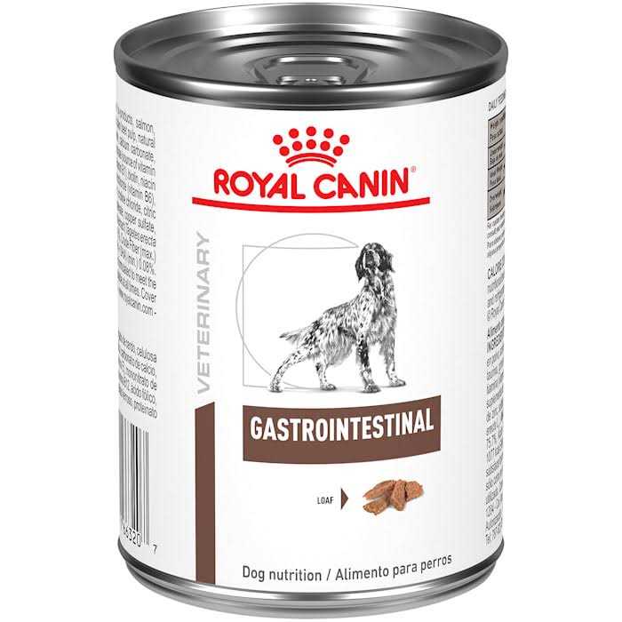 Royal Canin Veterinary Diet Gastrointestinal Loaf Canned Dog Food - Healthber