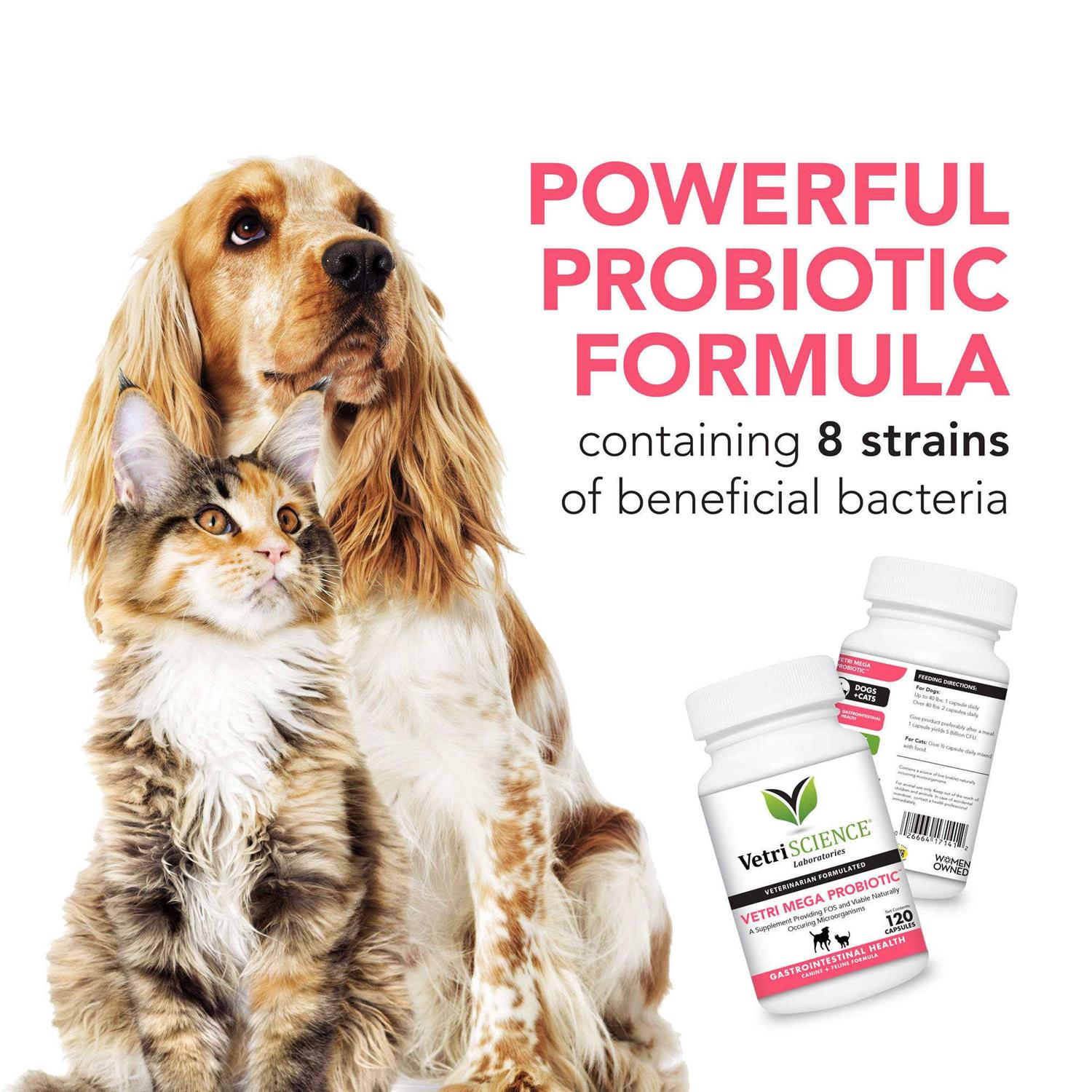 VetriScience Vetri Mega Probiotic - Healthber