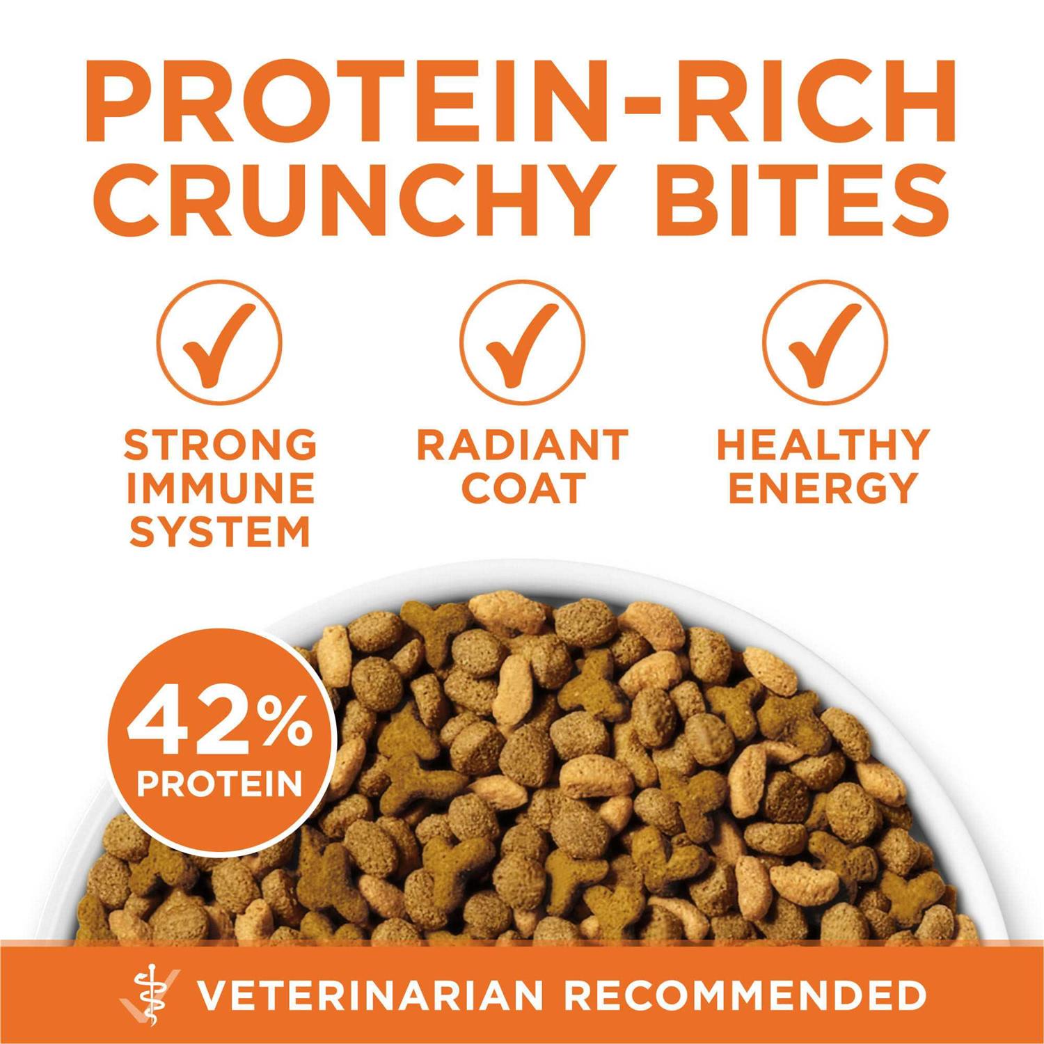 Purina ONE Healthy Metabolism Dry Cat Food - Healthber