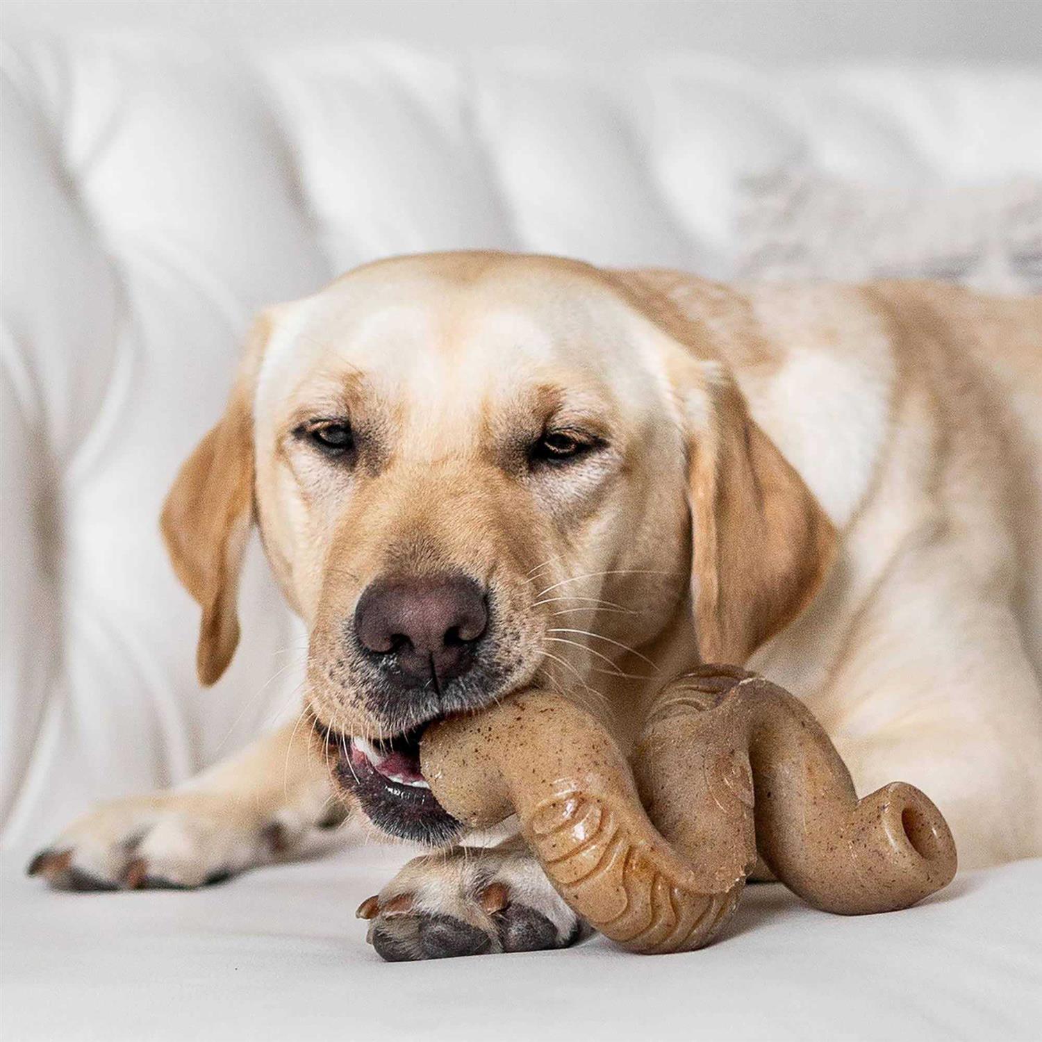 Benebone Tripe Bone Dog Chew - Healthber
