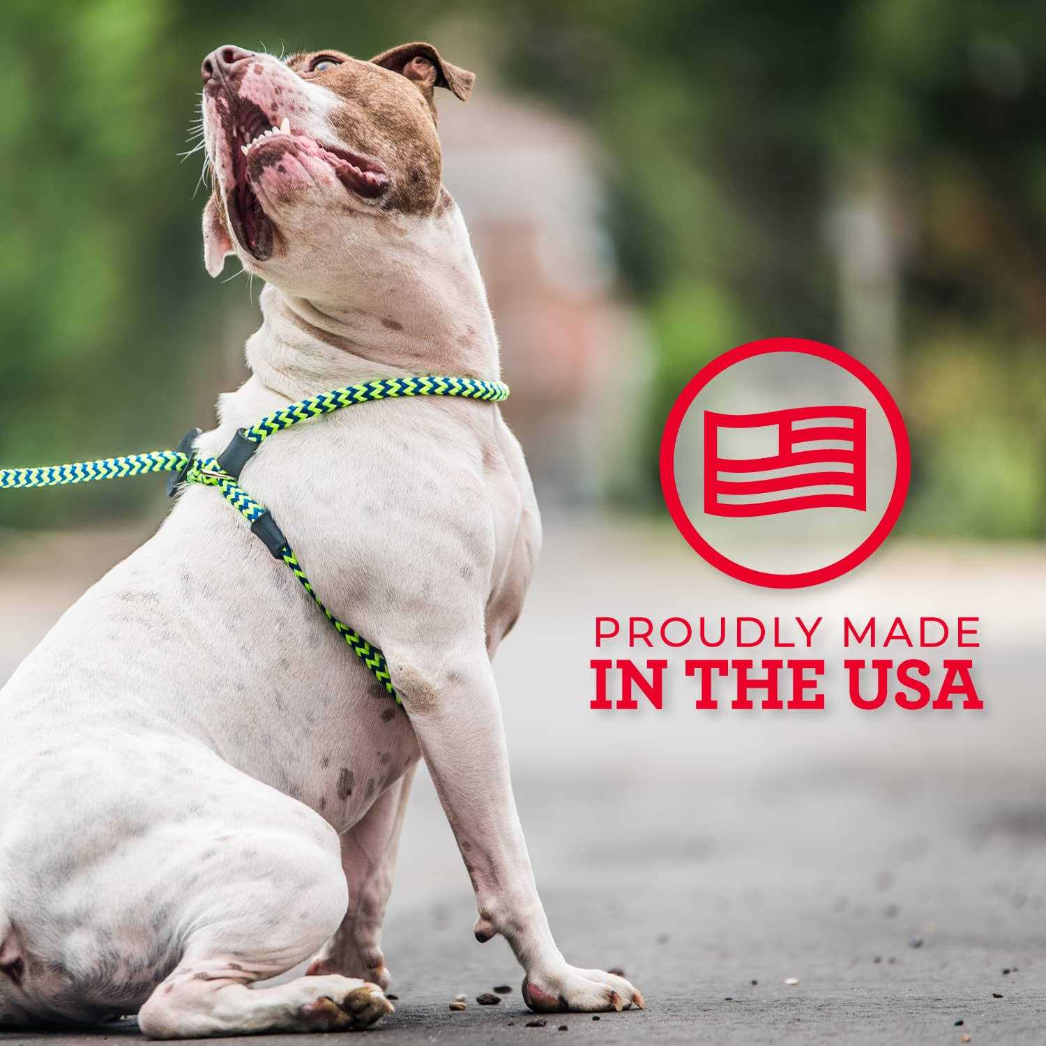 Harness Lead Dog Harness - Healthber