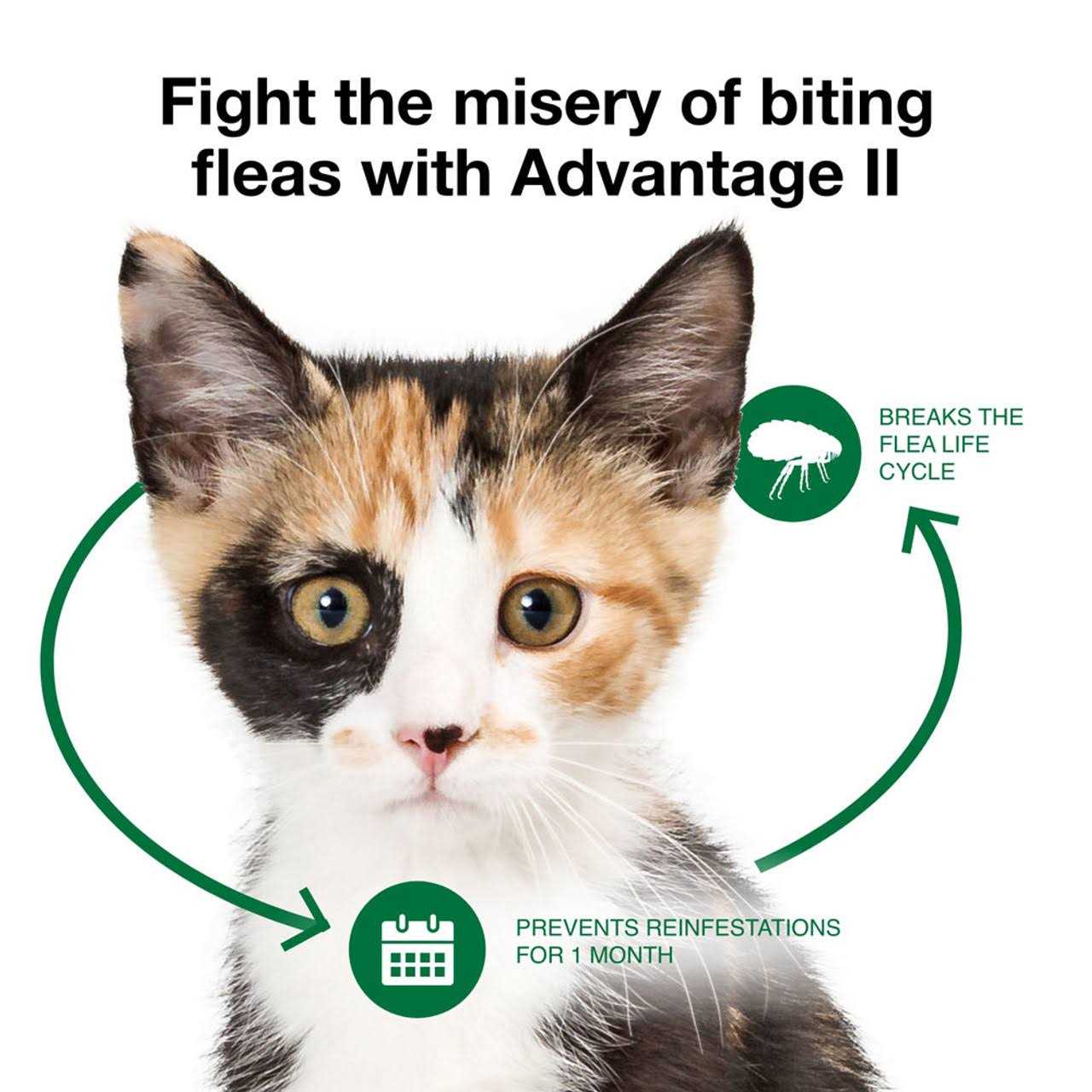 Advantage II Flea Treatment Cats - Healthber