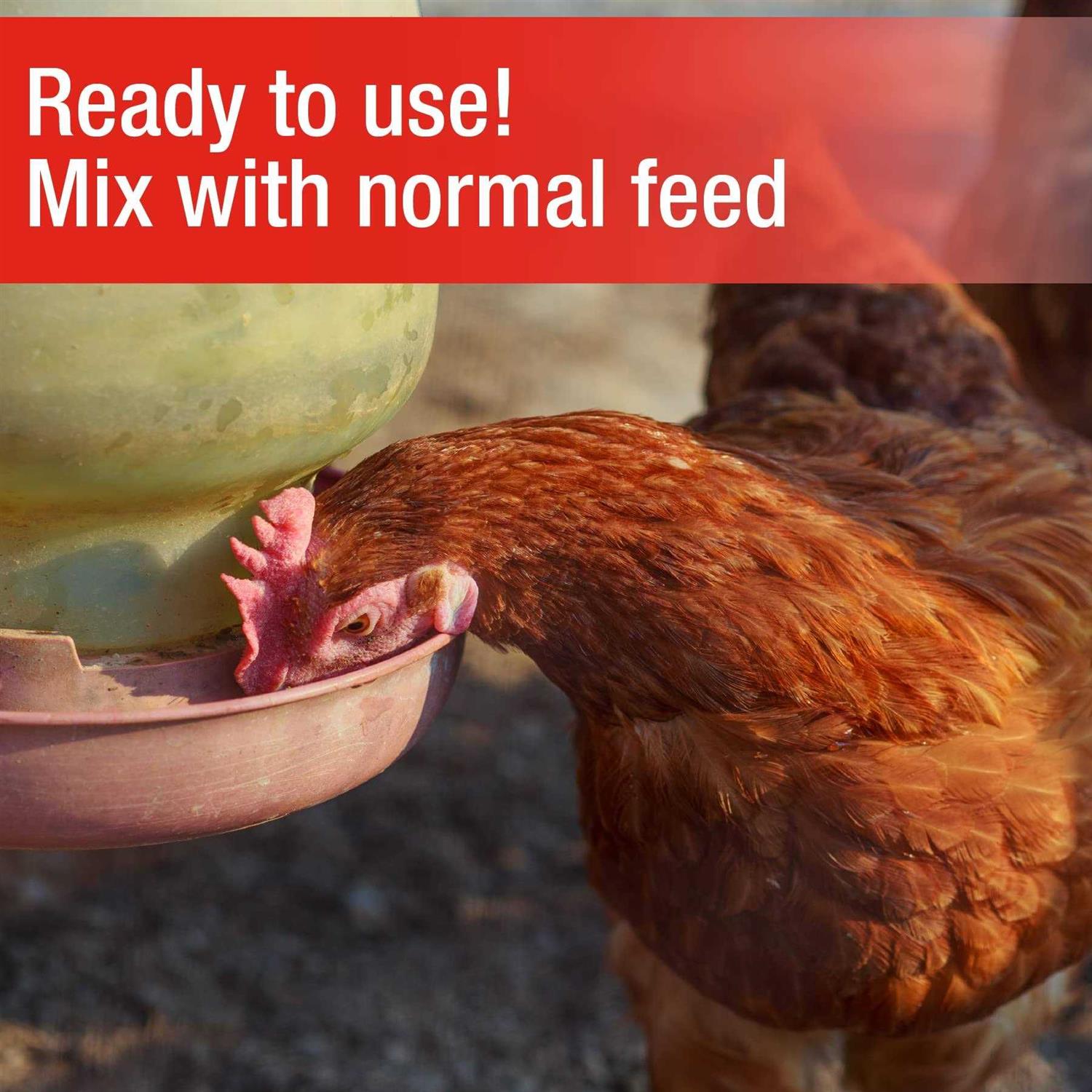 Cherry Stone Poultry Grit - Healthber