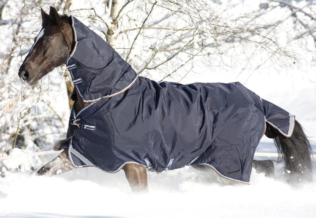 Rambo Duo Horse Turnout Blanket with Bag for Life - Healthber