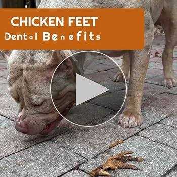 Amazing Dog Treats Chicken Feet Grade A Chicken Feet - Healthber