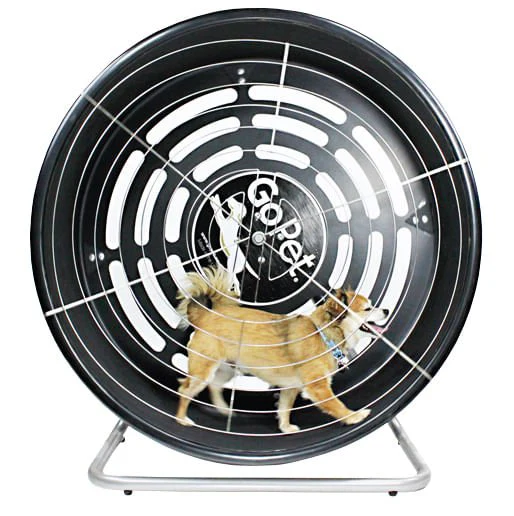 GoPet Treadwheel, Toy/Small, 25 lb Limit - Healthber