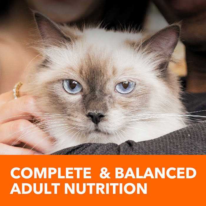 Iams Proactive Health Adult Sensitive Digestion & Skin Dry Cat Food - Healthber