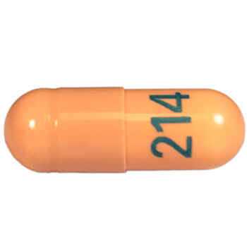 Gabapentin 300 Mg For Dogs - Healthber
