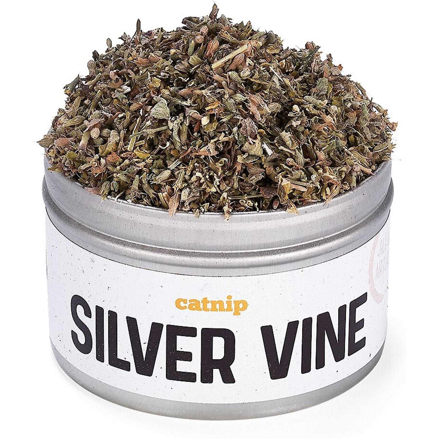 Litterbox.com™ Silver Vine Catnip in Bisque - Healthber