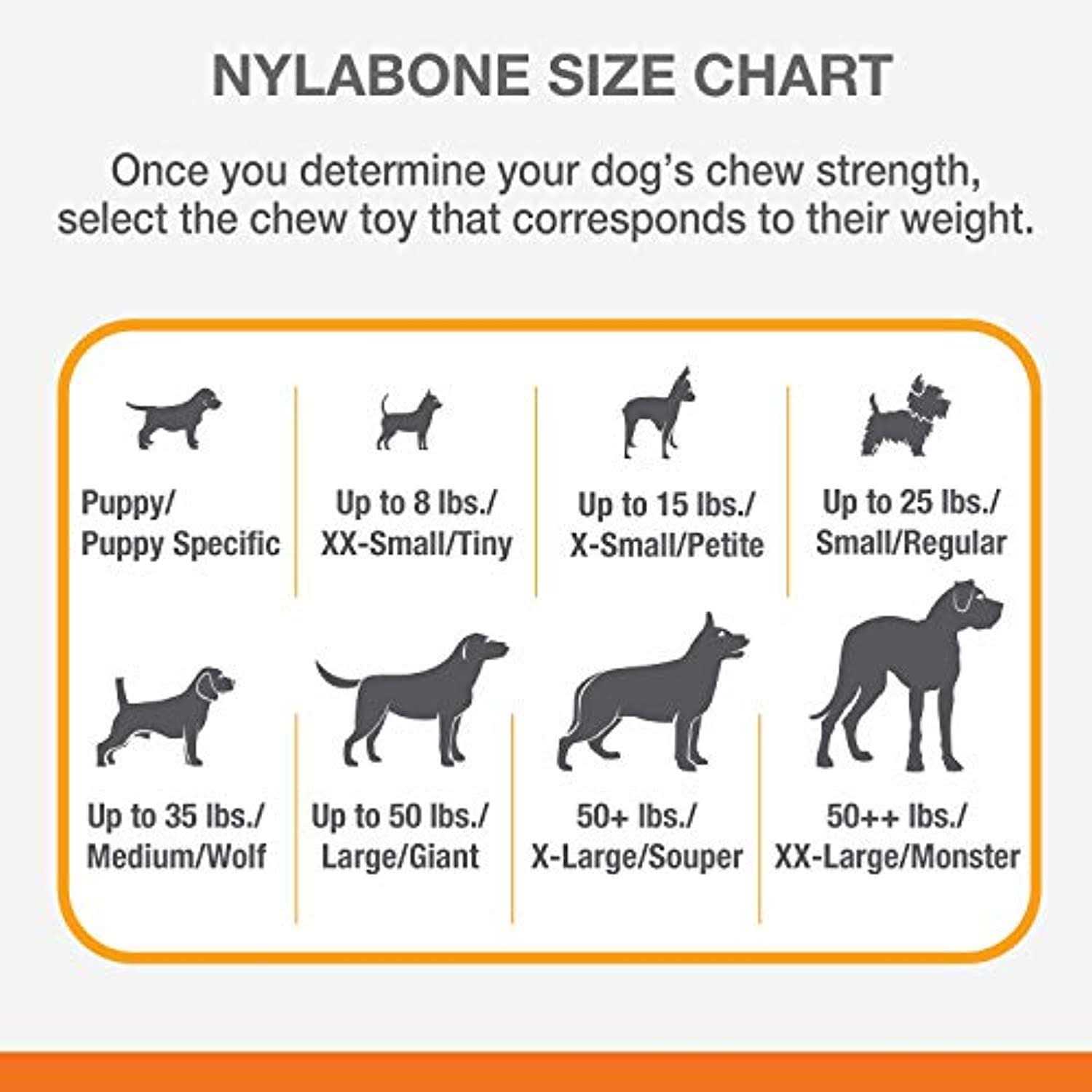 Nylabone Dental Dino Puppy Chew Toy - Healthber