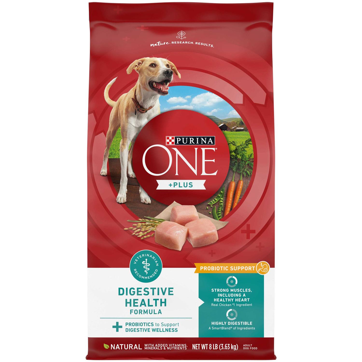 Purina ONE Digestive Health Dry Dog Food - Healthber