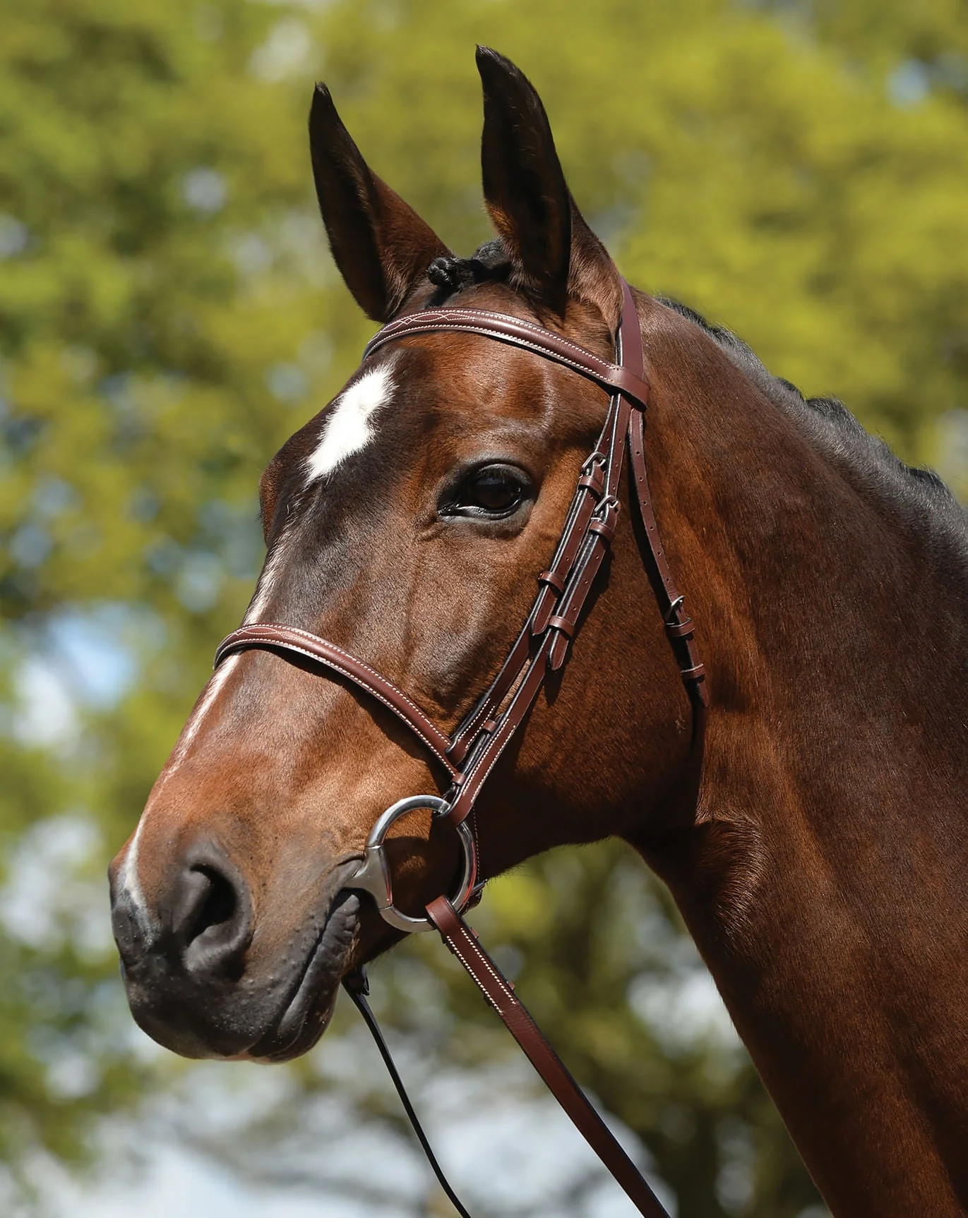 Weatherbeeta Fancy Stitched Bridle w/ Reins, Brown - Healthber