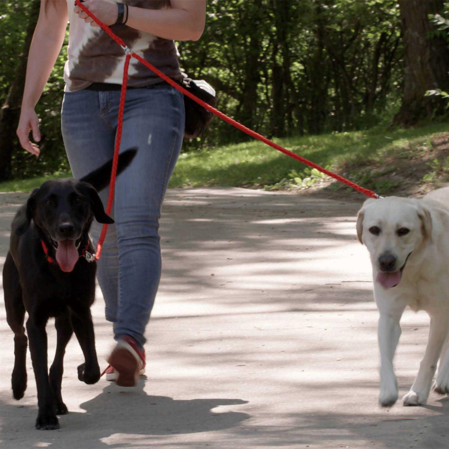 Caldwell’s Pet supply co. Dual Dog Leash Double Dog Leash - Healthber