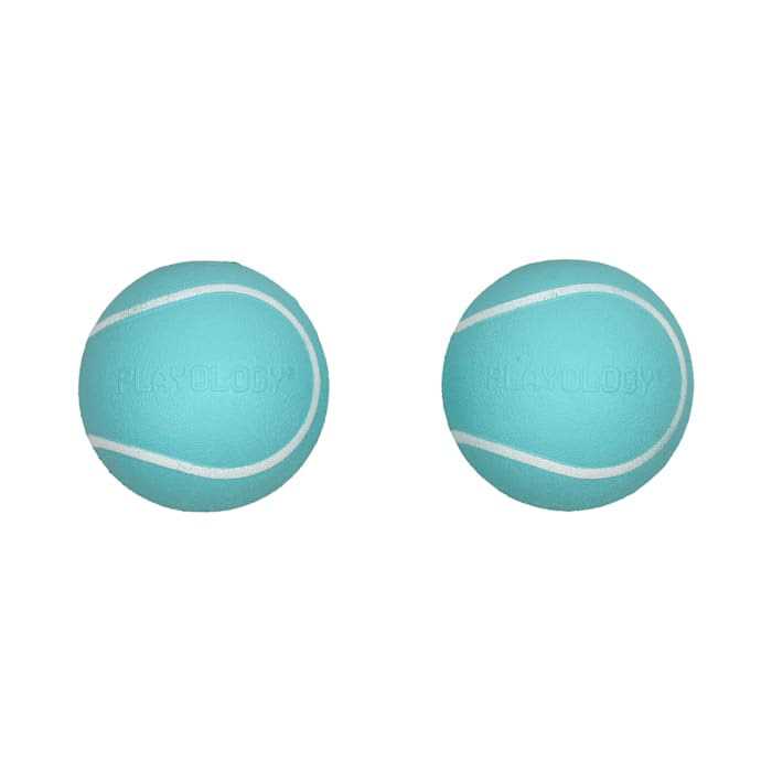 Playology Squeaky Chew Ball Dog Toy - Healthber