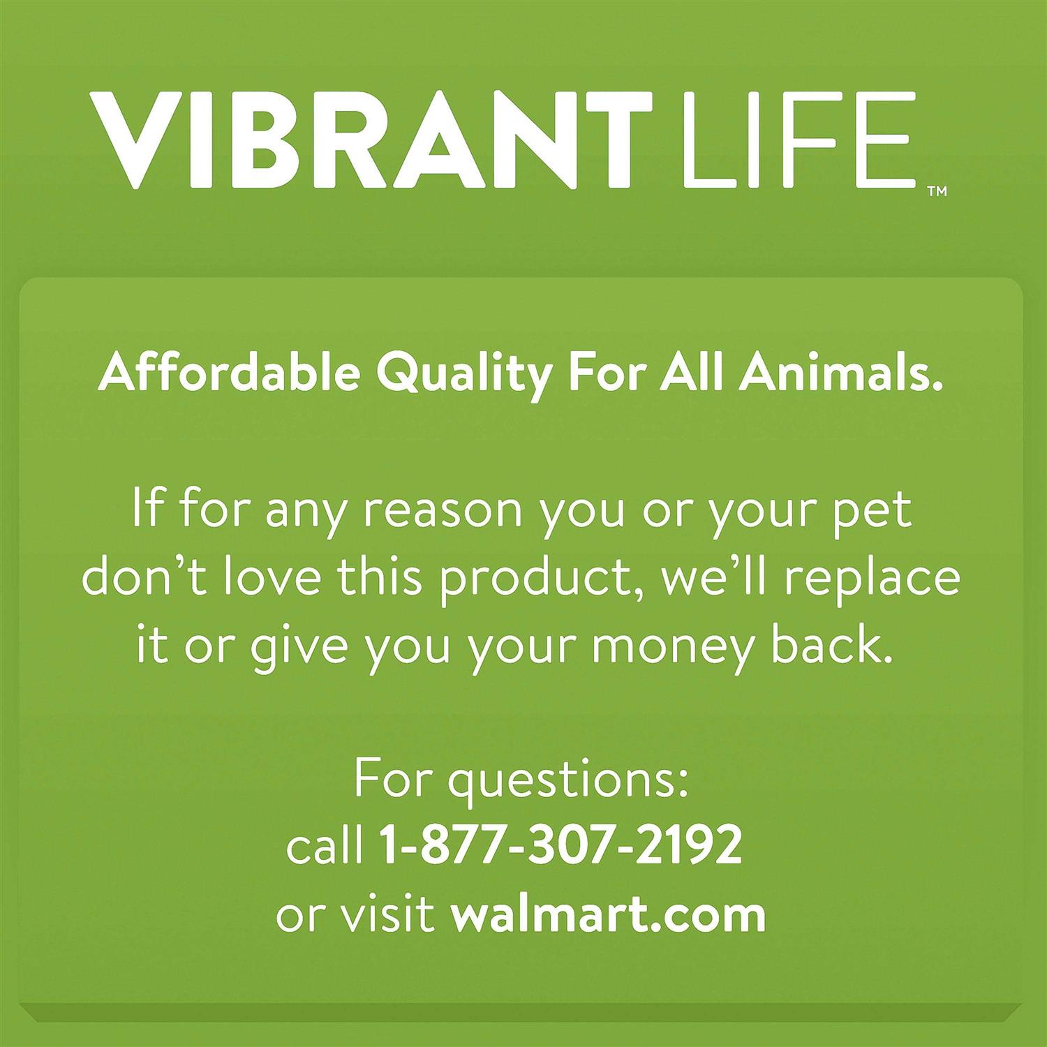 Vibrant Life Extra Large Cat Litter Box - Healthber