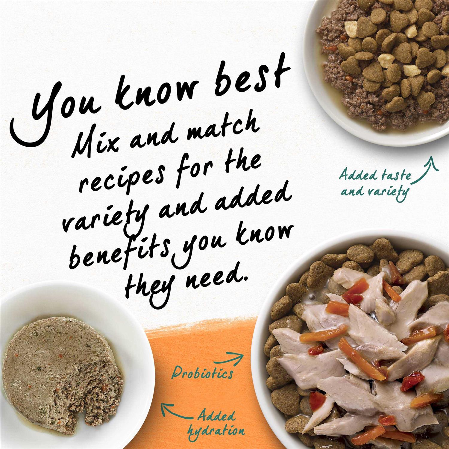 Purina Beyond Grain Free White Meat Chicken & Egg Recipe Natural Dry Cat Food - Healthber