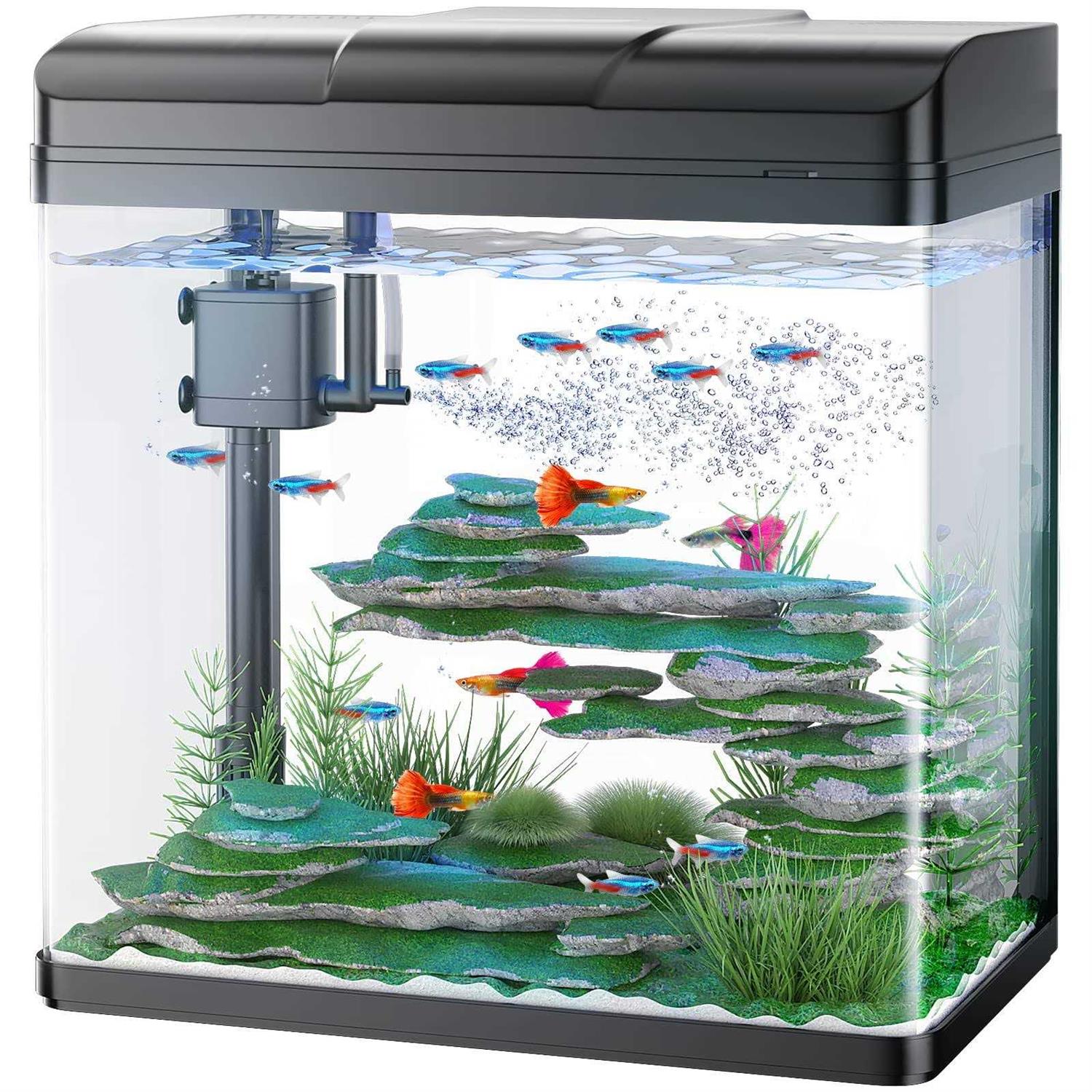 Pondon 5 Gallon Fish Tank, Glass Aquarium with Air Pump, LED Cool Lights and Filter - Healthber