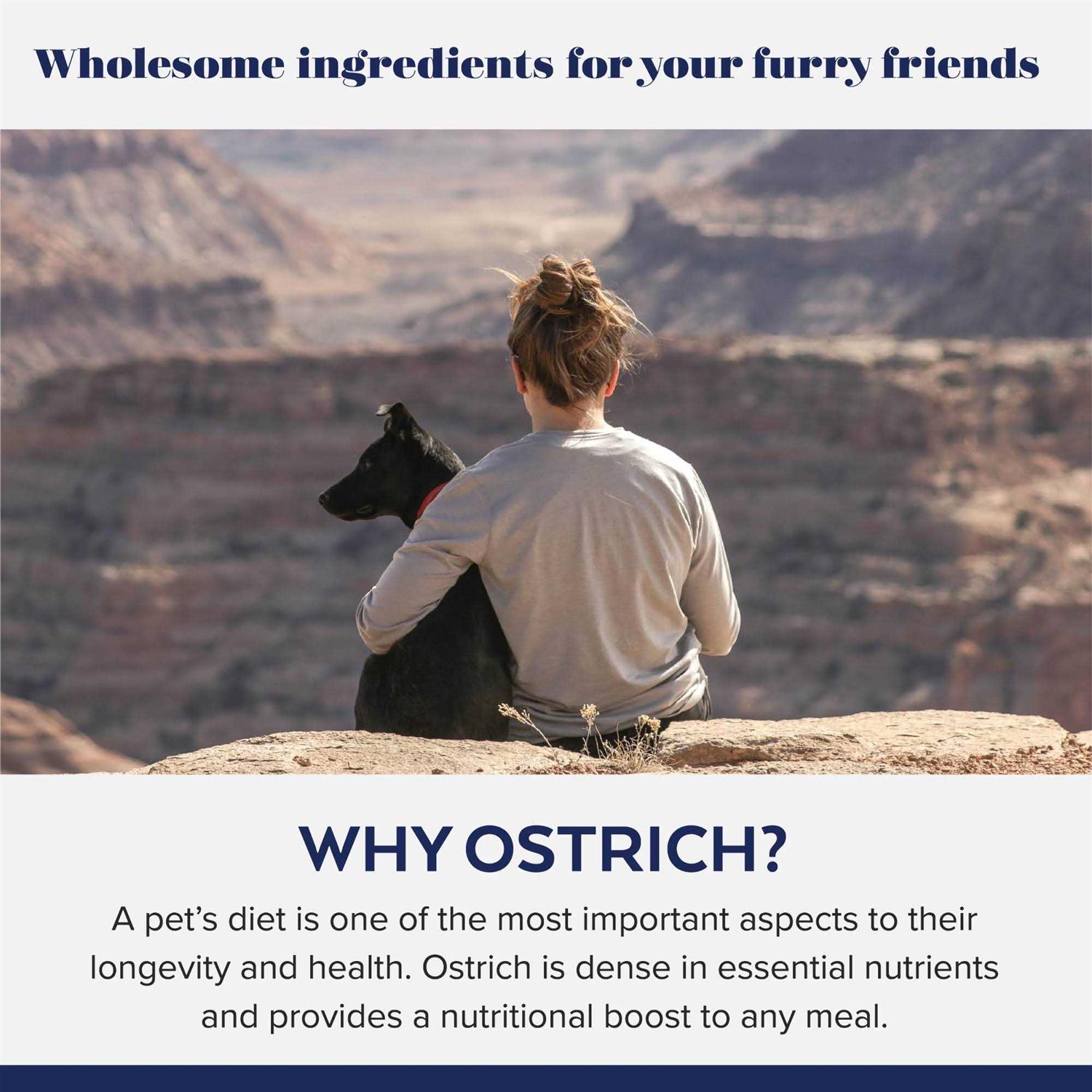 Ostrich Egg Bites - Healthber