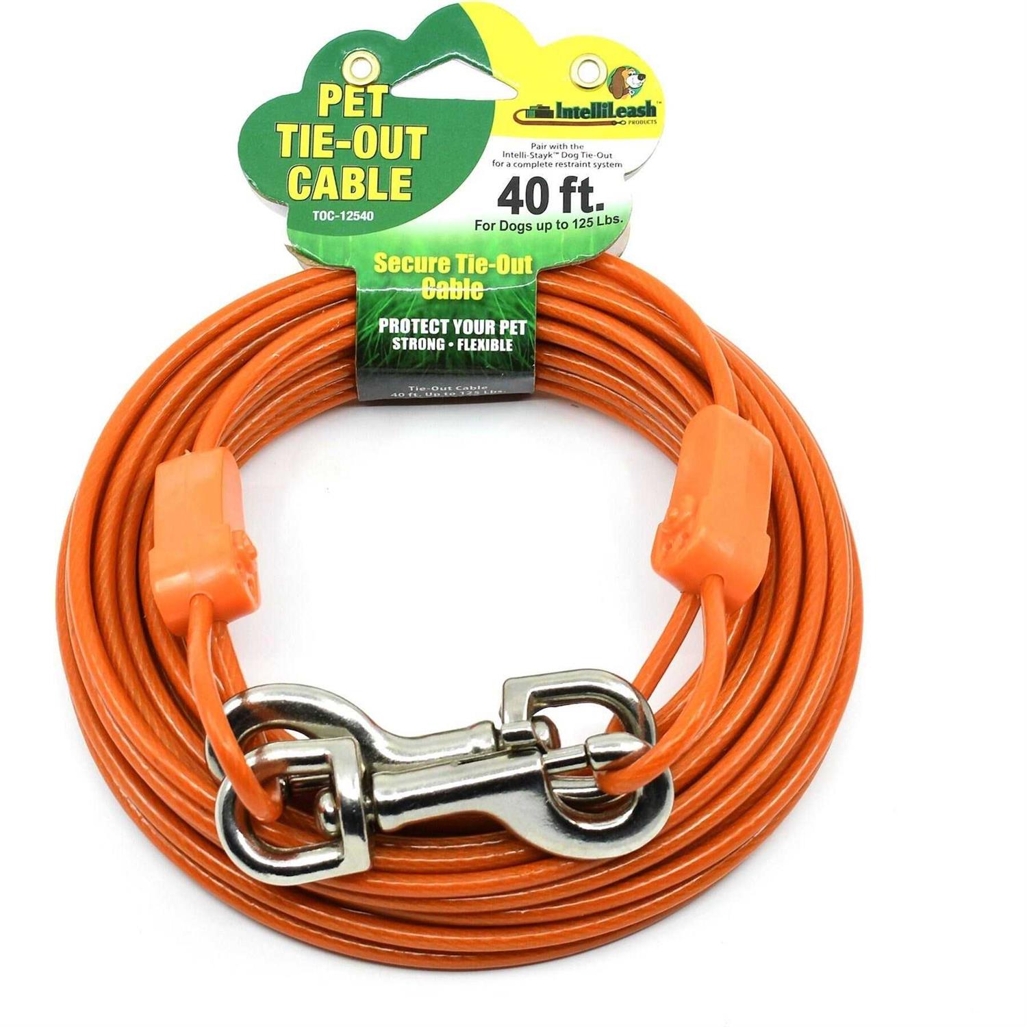 IntelliLeash Tie-Out Cables for Dogs Lengths up to 100 Feet and Breeds of Dogs up to 250 Pounds - Healthber