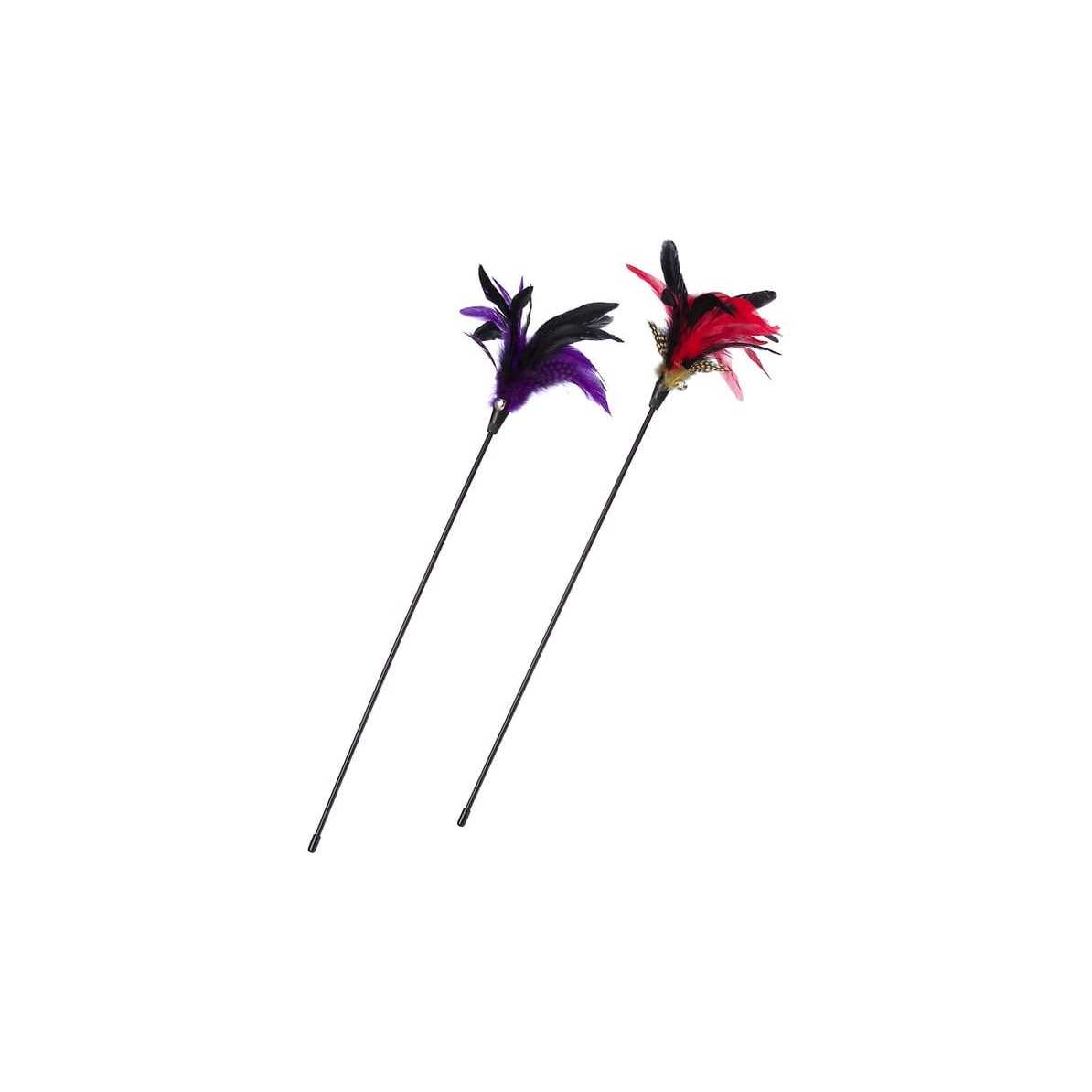 Leaps & Bounds Pheasant Feather Cat Teasery - Healthber
