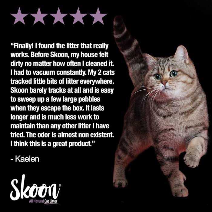 Skoon All-Natural Cat Litter Light-Weight, Non-Clumping, Low Maintenance, Eco-Friendly - Healthber