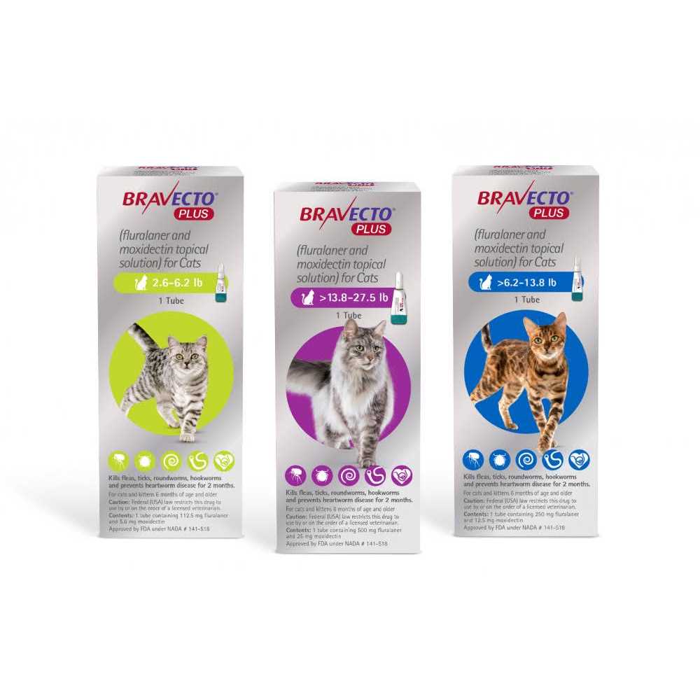 Bravecto Plus Topical Solution for Cats - Healthber