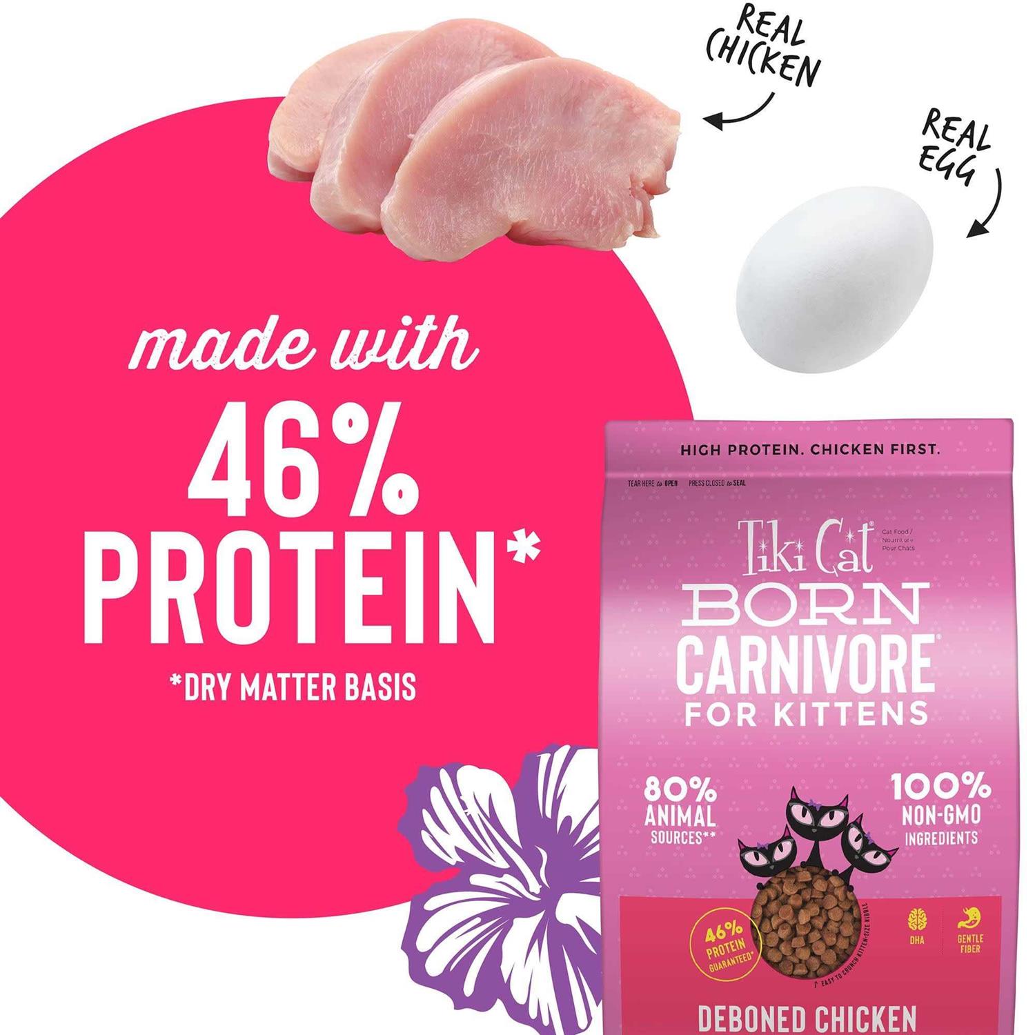 Tiki Cat Born Carnivore Chicken & Egg Kitten Dry Food - Healthber