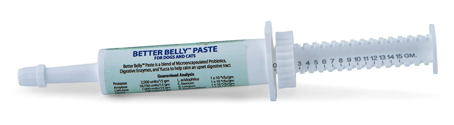 Prothrive Better Belly Paste, 15 gm - Healthber