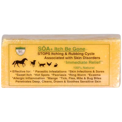 SOA+ Itch Be Gone Soap Bar, 11 oz - Healthber