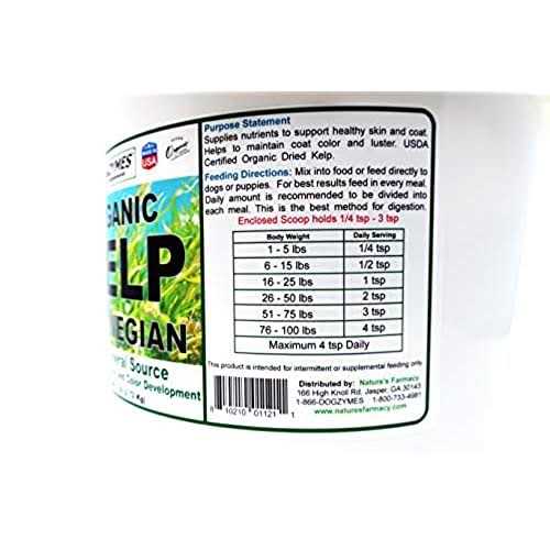 Dogzymes Organic Norwegian Kelp for Pets - Healthber