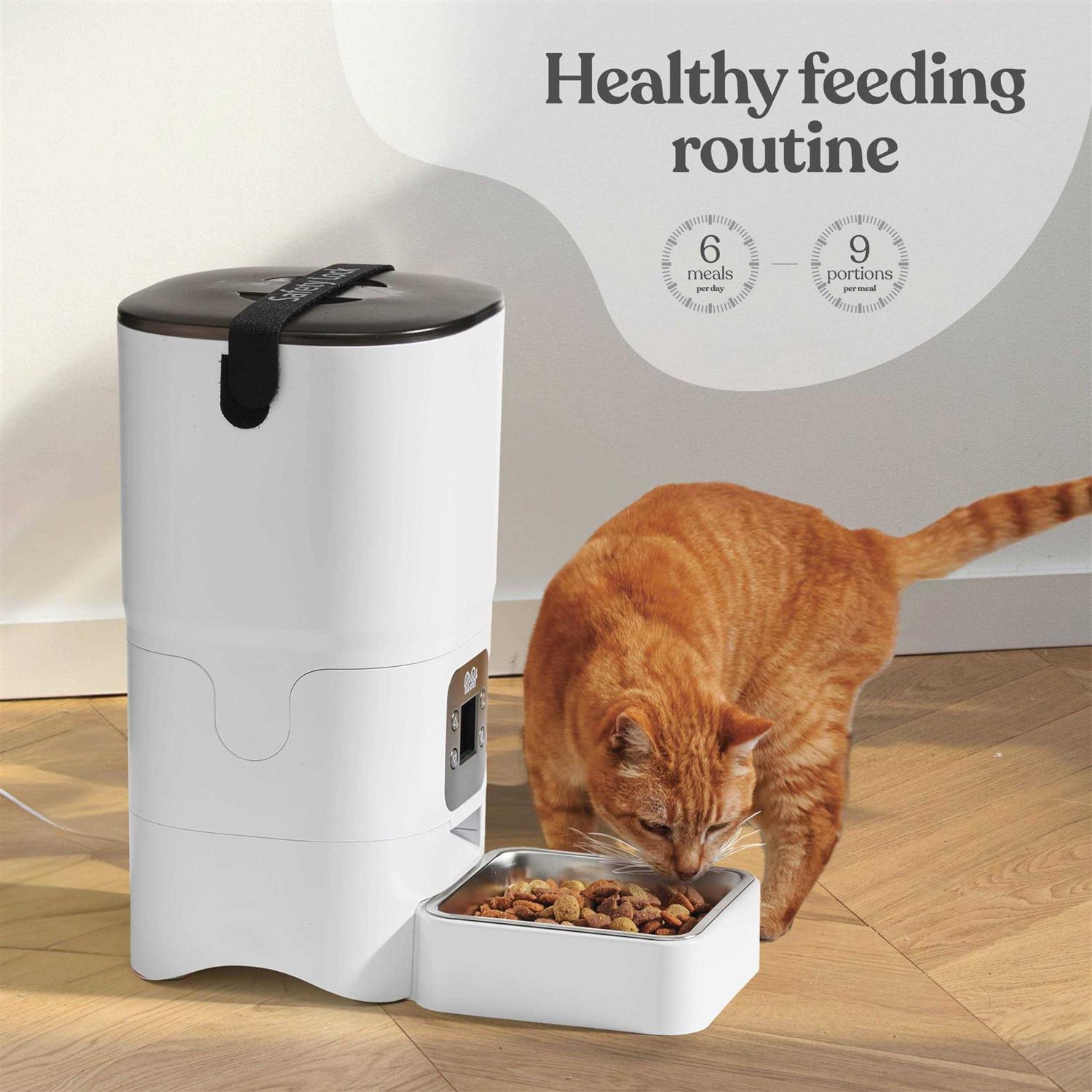 Pitpet Smart Automatic Cat Feeder 6-L Reliable Automatic Cat Food Dispenser with Display LCD Screen for Easy Set Up -Portion Control Automatic Dog - Healthber