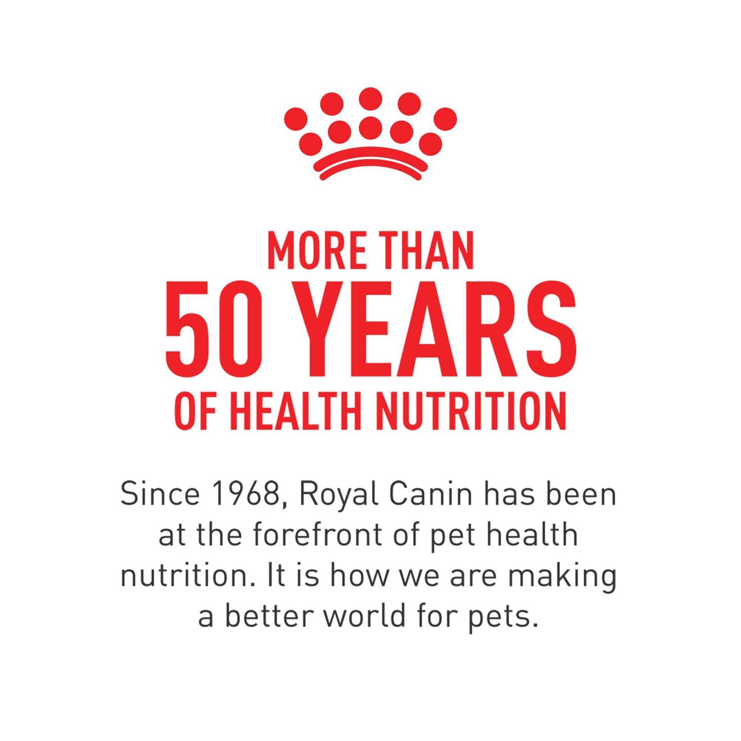 Royal Canin Veterinary Diet Feline Dental Adult Dry Cat Food - Healthber