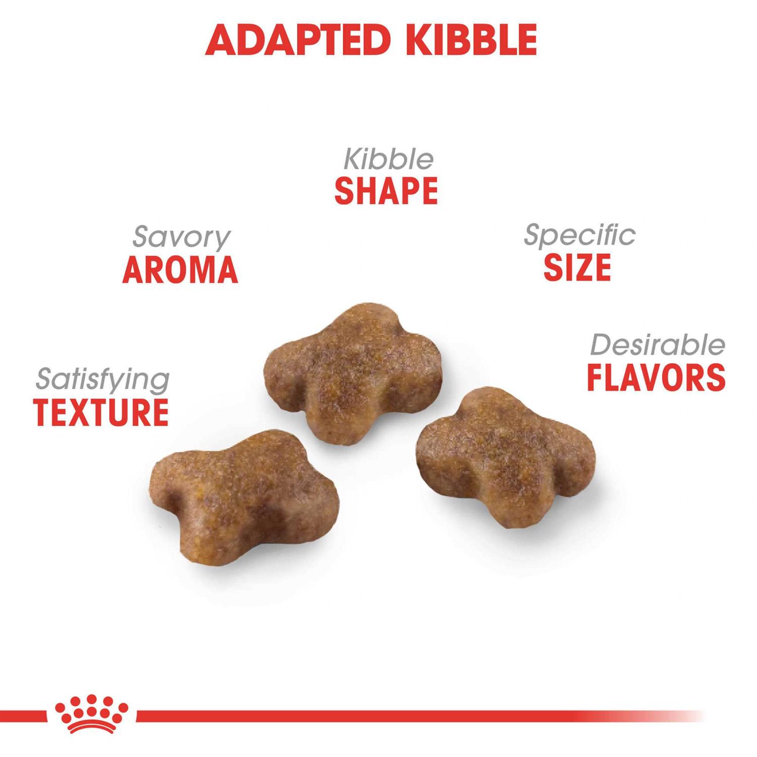 Royal Canin Kitten Feline Health Nutrition Kitten Dry Food - Healthber