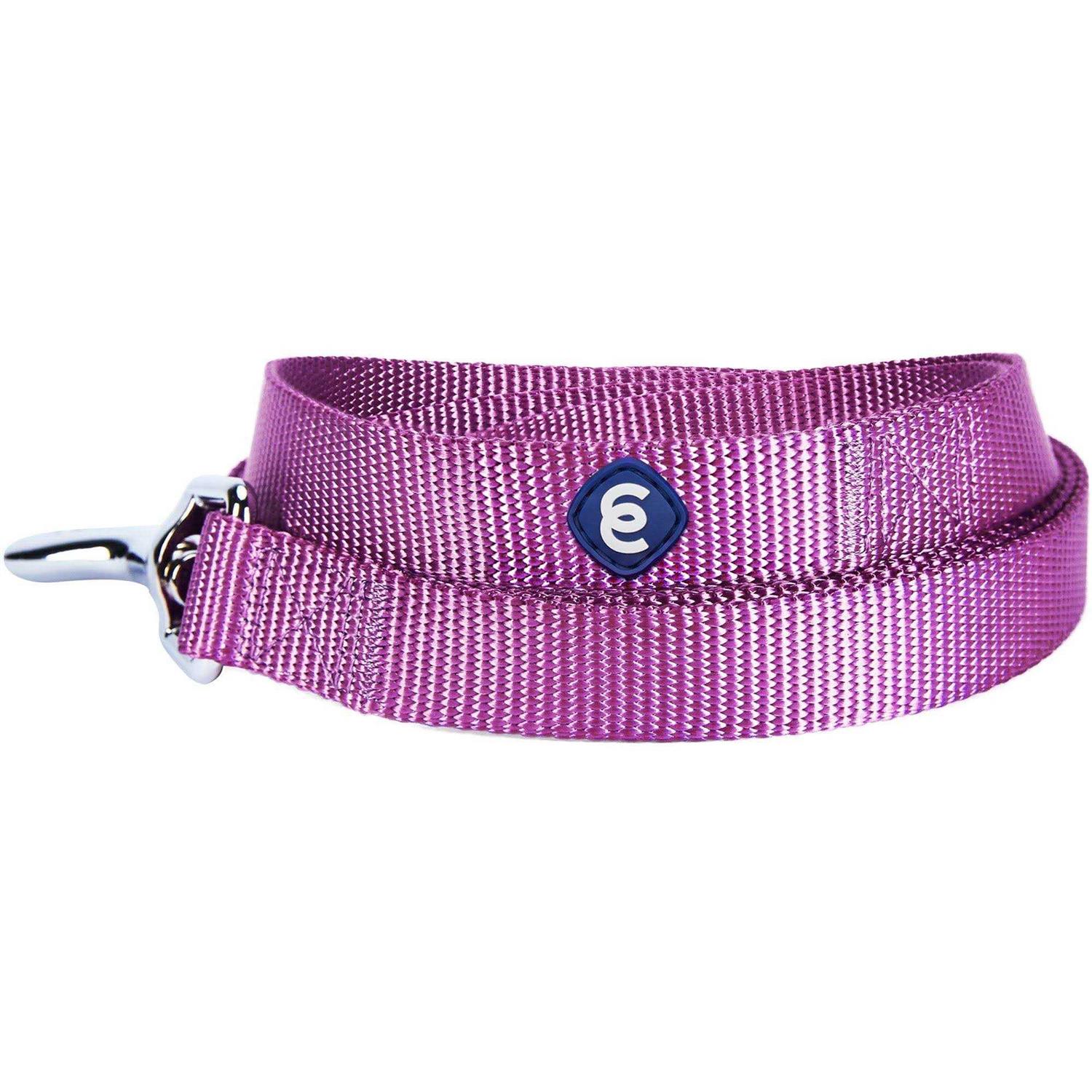 Blueberry Pet Classic Dog Leash - Healthber