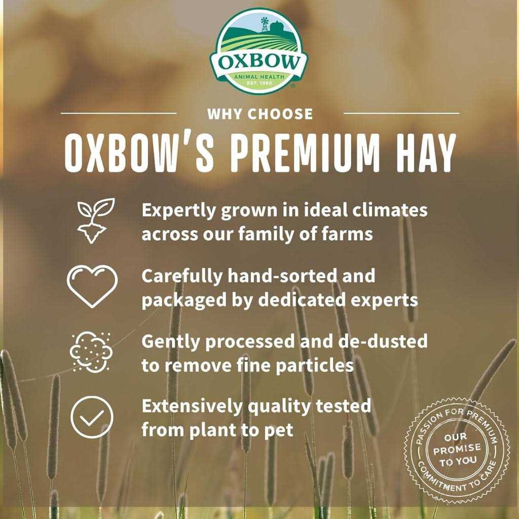 Oxbow Alfalfa Hay - Healthber