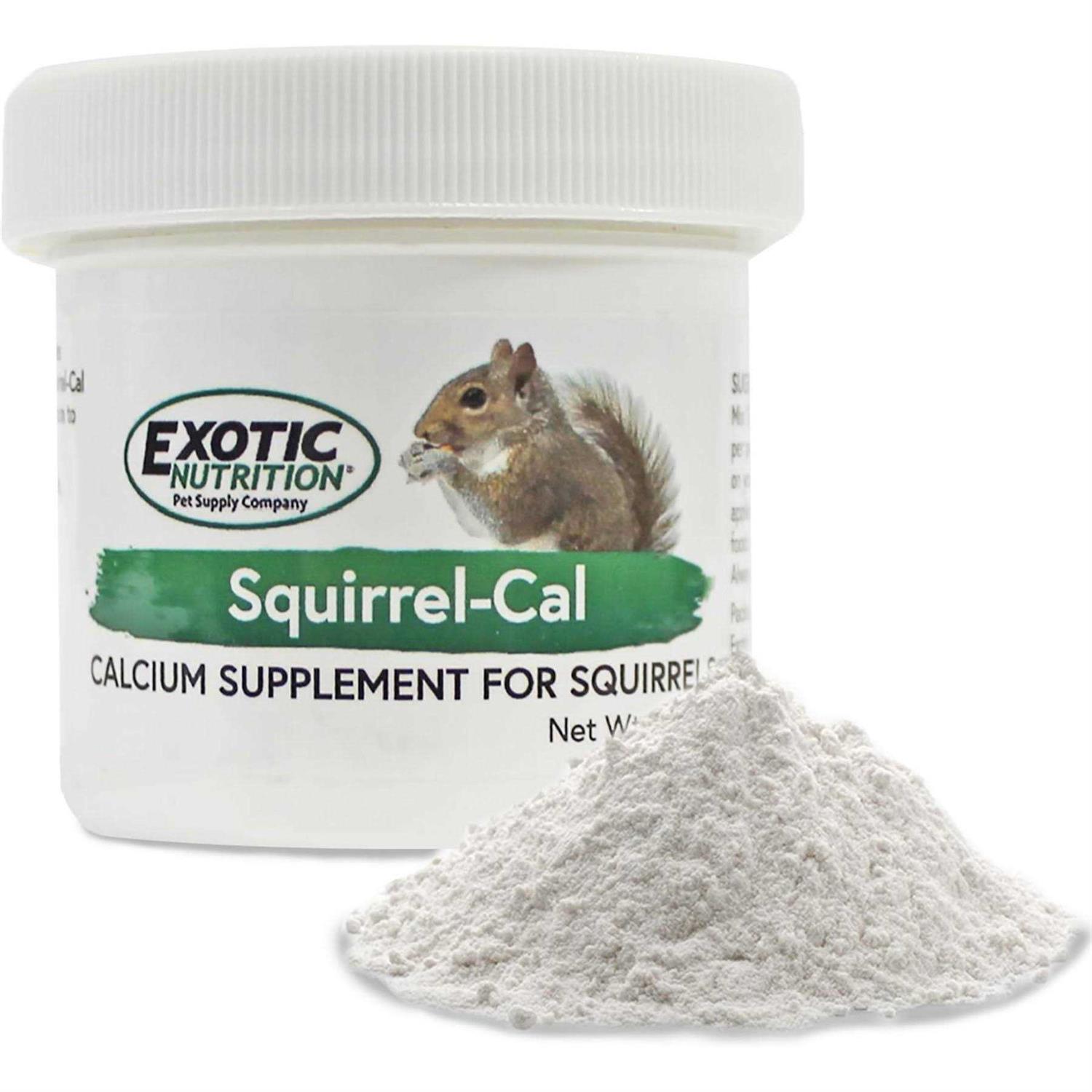Exotic Nutrition Squirrel-Cal Calcium Supplement - Healthber