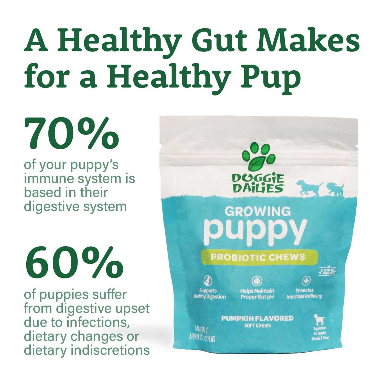 Doggie Dailies Puppy Probiotic Probiotics for Puppies with Digestive Enzymes - Healthber