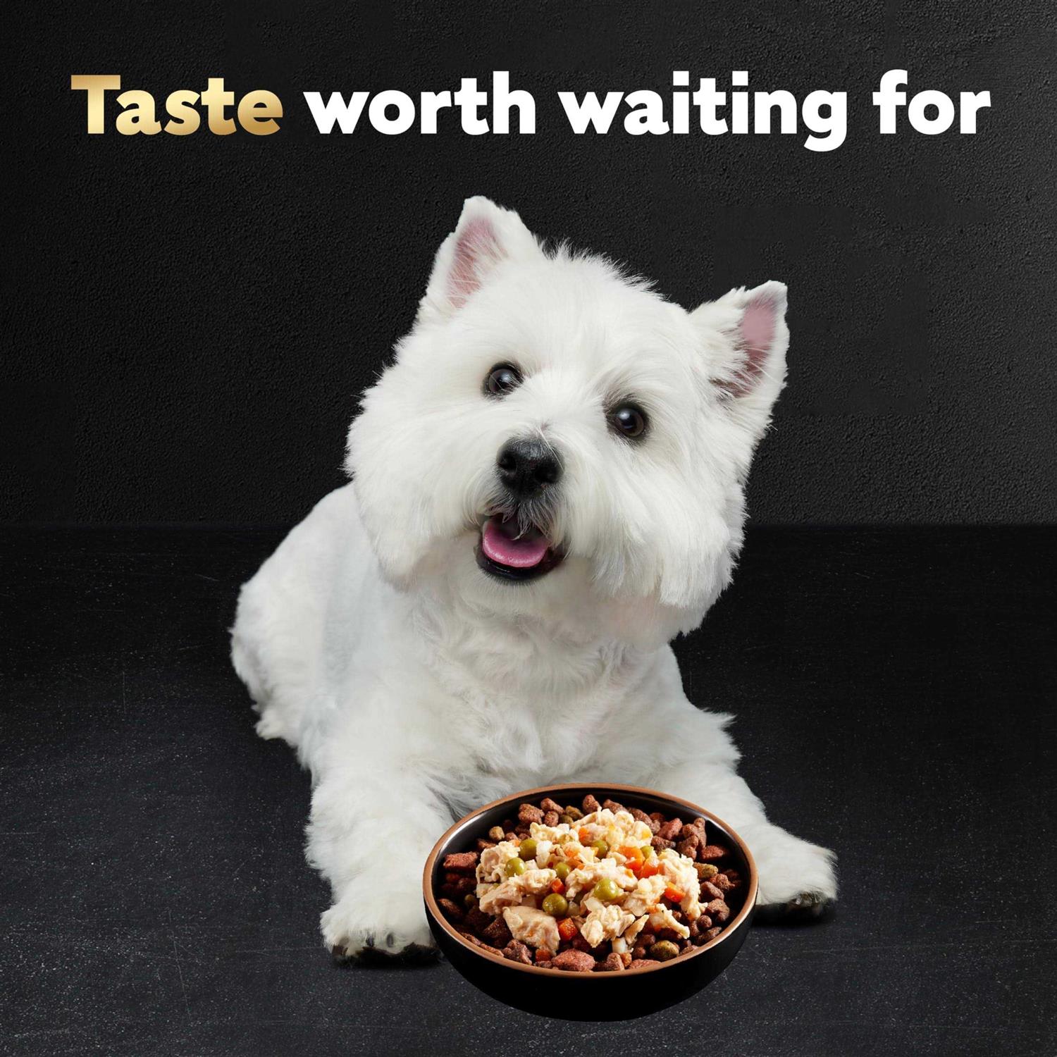 Cesar Simply Crafted Chicken Wet Dog Food - Healthber