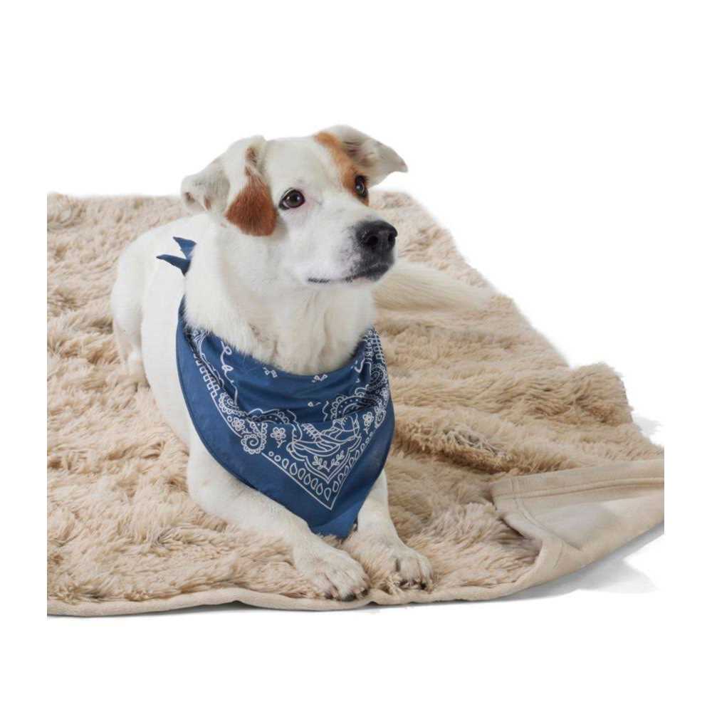 Tall Tails Dog Waterproof Blanket - Healthber