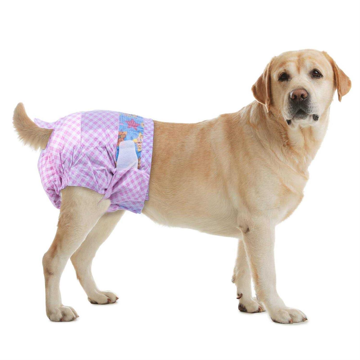 Flying Paws Disposable Female Dog Diapers, Puppy Diapers with Adjustable Elastic Waistline for Female Dog or Cat in Heat - Healthber