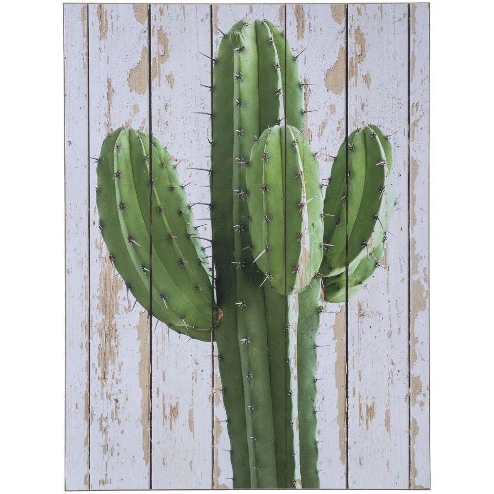 Hanging Cactus Wall Art - Healthber
