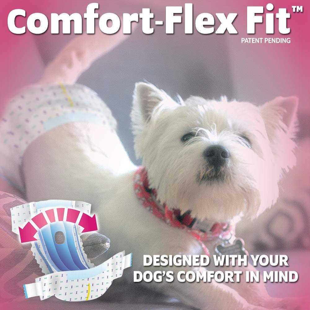 Out! Disposable Female Dog Diapers - Healthber