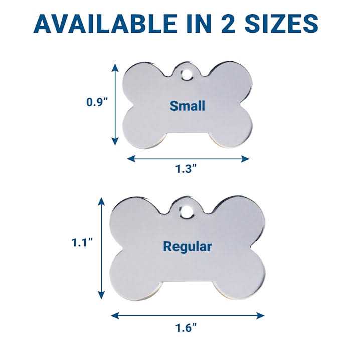 Frisco Stainless Steel Personalized Dog ID Tag - Healthber